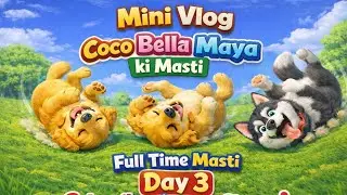 Mini Vlog | Coco Bella Maya Ki Full Time Masti 😍 | Day 3 #youtube #vlog #dogs 