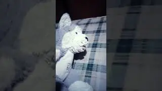 #memes #funny #stitch #greenscreen #comedy #fast #rapper #rap #music arf arf arf arf