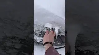 вот почему электричество лучше газа