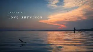 LOVE SURVIVES &mdash; Spindrift (Official Visualizer)