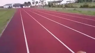 Sheepdog and Cavapoo on the running track