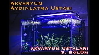 Akvaryum Ustaları 3. Bölüm Akvaryum Aydınlatma Ustası (Mygos Teknoloji)