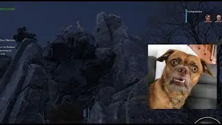 Bellwright│ISSUE│WOLVES BUG on MOUNTAIN - Frozen/AFK COMPANIONS NOT MOVING  - *FIXED*