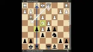 1916 New York David Janowski   Frank James Marshall #cờvua #chess #шахматы #chessplayer