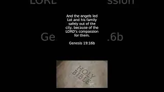 God's Compassion and Protection for His Children