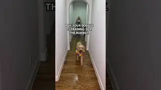 Он &mdash; будущая супермодель среди мужчин. 😂