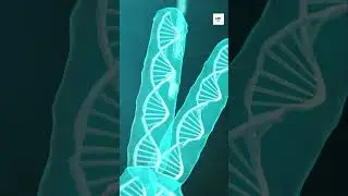 This Scientist Fixed Gene Editing &mdash; No DNA Cutting Needed