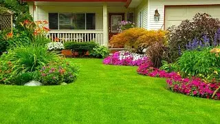 My take on home and garden