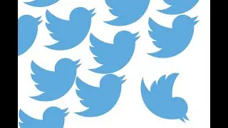 TWITTER SHORT STORY: Twitter Story by Kim Montgomery