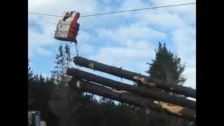 Carro de madereo Chile - Koller MSK10
