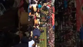 Rodeor