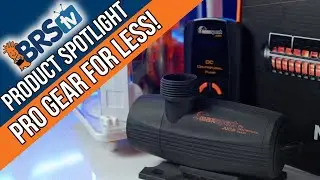 Pro-Level Reefing Gear Without Breaking the Bank!