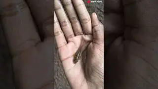 The fun of catching fish with your hands is different.🐬|| traditional fishing in kokan🦈||#fishing #kokan #fishingvideo