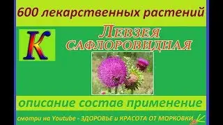 ЛЕВЗЕЯ САФЛОРОВИДНАЯ 600 лекарственных растений