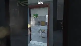 Dayz the Vaiga is nasty