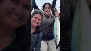 San Diego full day boats catching copious amounts of yellowtail on kelps with bluefin tuna lurking