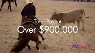 PCCHA Holy Cow Performance Horses Futurity & Aged Event 2017