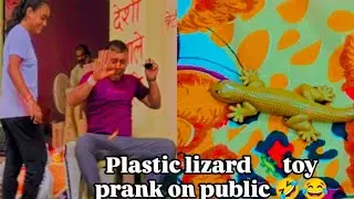 #plastic #lizard #toy #prank #on #publicprank 😝🦎🦎 #fullmasticomedy