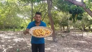FUI COLHER CROATÁ  NO MATO JÁ COMEU CROATÁ  - COISAS DA ROÇA