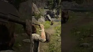 Survival Skill in Red Dead Redemption 2 P1225 #rdr2 #survivaltips #gamingshorts #gaming #shorts