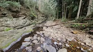 Clagiraba Creek - Yowie Bigfoot Sleeping Area