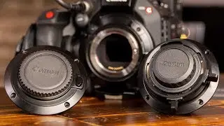 Interchangeable Lens Mounts | Canon C500 MKII