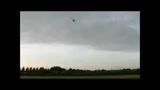 ALZRC Pro V2 FBL test flight