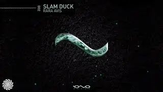 Slam Duck - Rara Avis