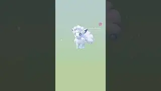 7 Km Egg #pokemon #pokemongo  #pokemongoapp  #pokemongocommunity  #pokemongofest