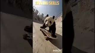 PARK SKATING  #shorts #skateboarding #skating #skate #panda