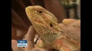 Exotic Life Show 05-07.04.2016