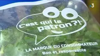 La salade &laquo; C&rsquo;est qui le patron ?! &raquo; arrive dans les grandes surfaces