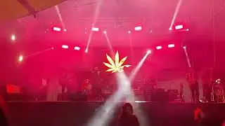 SON DEL TLACOLOLERO - EL BURRO LOCO / SABOTAJE MUSICAL EN VIVO