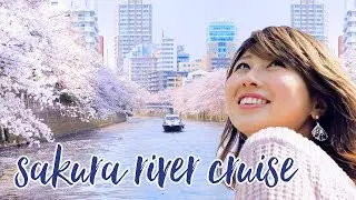 お花見クルーズで季節の英会話♪ Cherry Blossom Cruise🌸〔#685〕