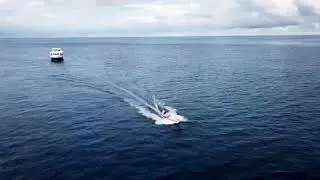 Maldives 4K surfing drone manta trip turtle all excursions luxury boat