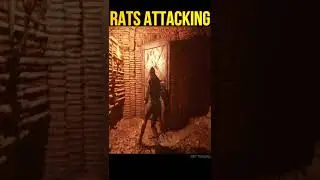 Rats Attack | A Plague Tale: Requiem