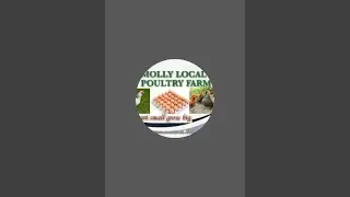 Business tips for  2026/poultry farming business/localchicken farming business. 