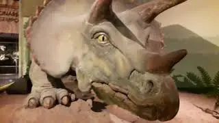 Museo Civico di Storia Naturale di Milano...bellissimo.