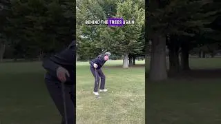 How to hit the low punch under the trees. Low shot under tree shot in golf.