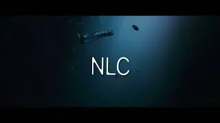 NLC (prod.kenzee) 