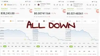 Update from Coingecko as of Feb 20 Bitcoin Php 967215.00,SLP Php. 1.11,Cyt .03815 All decreasing