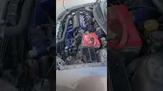 ecu proyect en mi dodge neon swap srt4 #music #chihuahua #srtaddicts #mopar #ecuproyect #srt4 #srt