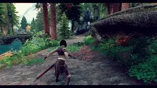[WIP][SkySA] Vanargand Animations - Sword Dual Wield Moveset