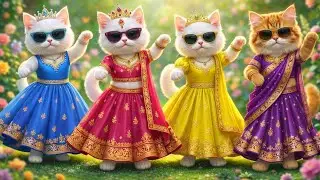 बिल्ली डांस | Cutest Cat videos funny dance🤣💃Videos for cats #funny #dancingcat #cat⁩#cute 