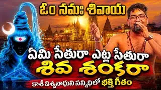 ఏమి సేతురా ఎట్లా సేతురా శ్రీశైల లింగా 🙏