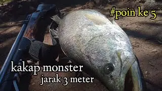 SEPOT GACOOOR !!! NEMBAK KAKAP MONSTER DIJARAK 3 METER