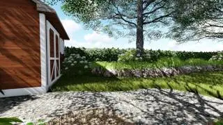 Backyard Scene