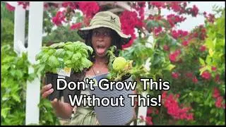 Companion Plants for Small Gardens