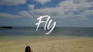 Fly | Drone B Roll | VII WANDERS