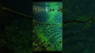 I phone put into the water #shorts